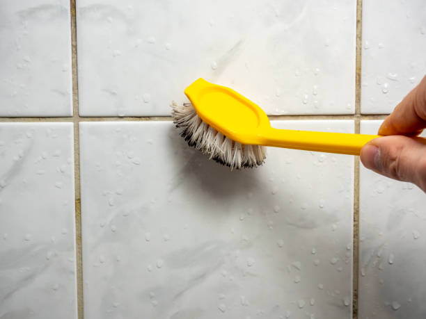 Best Mold Cleaning Services  in West Buechel, KY