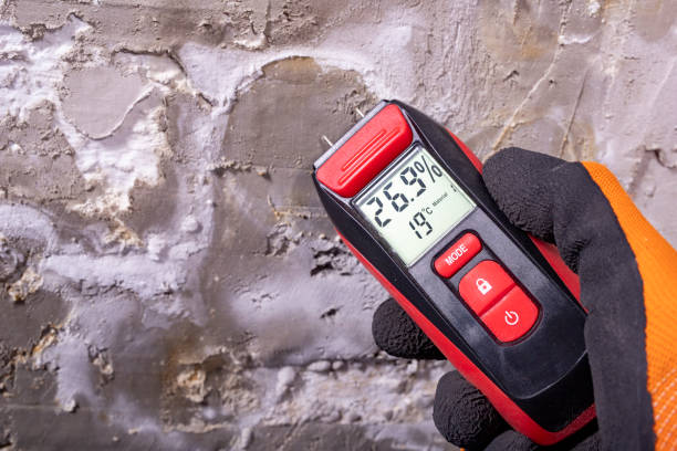 Best Certified Mold Removal  in West Buechel, KY