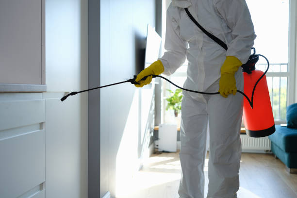 Best Mold Damage Repair  in West Buechel, KY